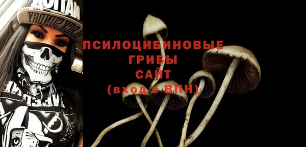 соль ск Абинск